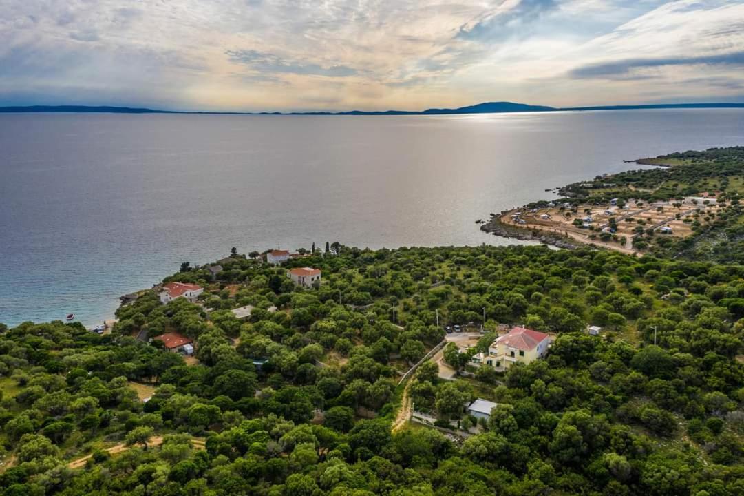 BorovićiKuca Za Odmor Denona公寓 外观 照片
